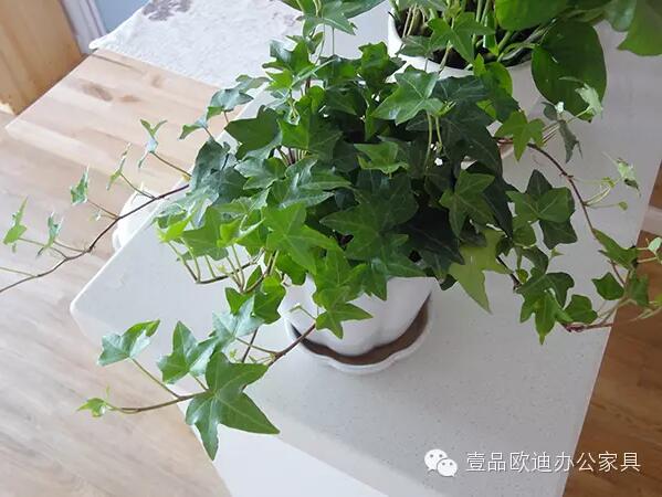 輕松解決辦公室內各種污染！