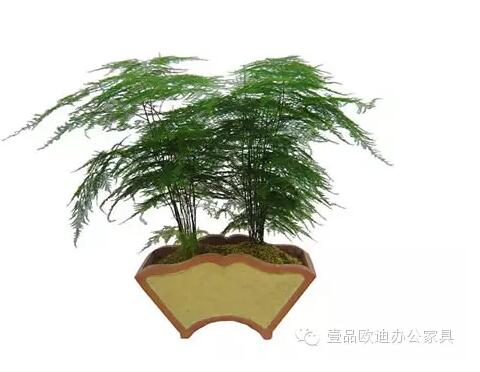 輕松解決辦公室內各種污染！