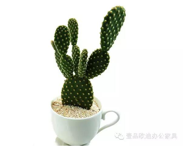 輕松解決辦公室內各種污染！